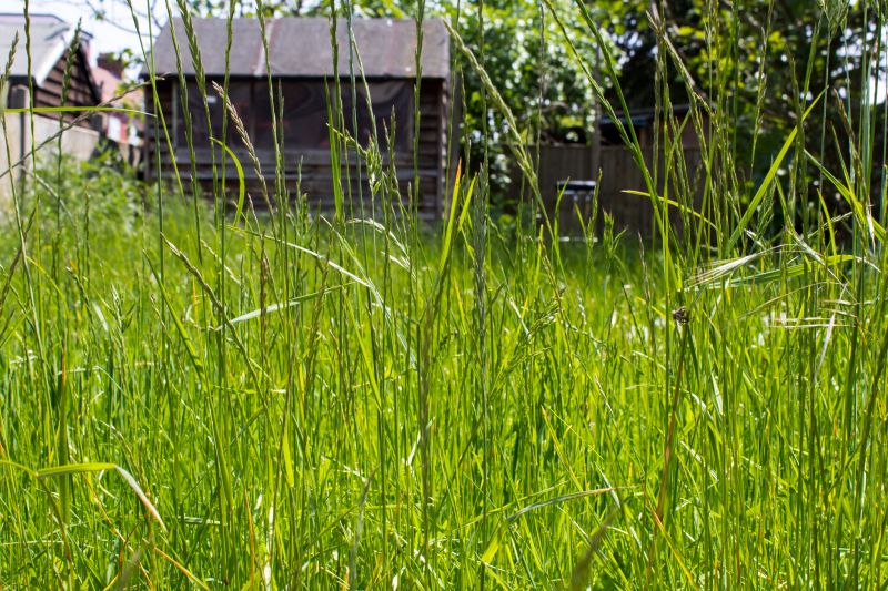 Tall Grass Cutting detail