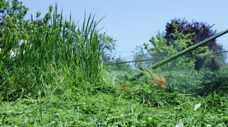 Tall Grass Cutting detail