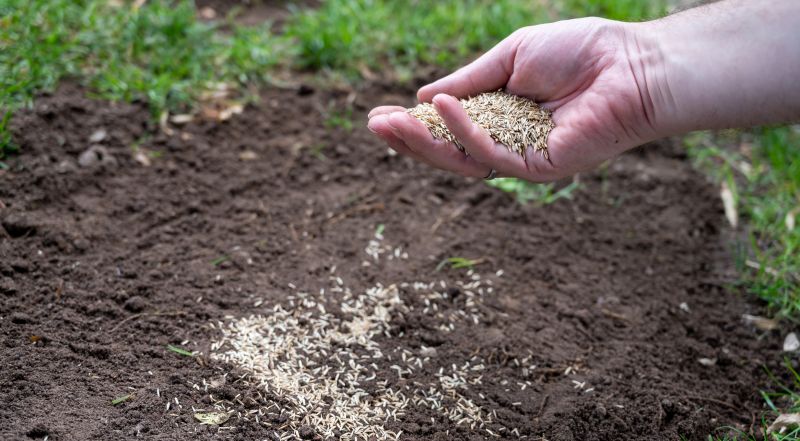 Grass Seed Installation in Ventura County, CA