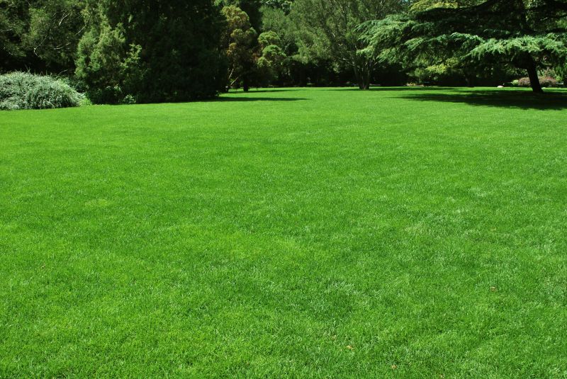 Residential Lawn Care