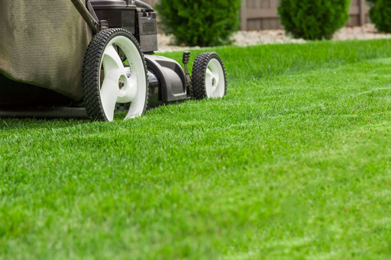 The Difference Professional Lawn Mowing Makes