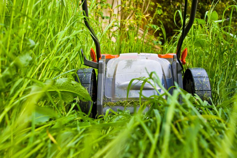 Yard Upkeep Service in Bowie, MD